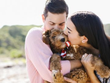 cape cod portrait session lindsay hite photography