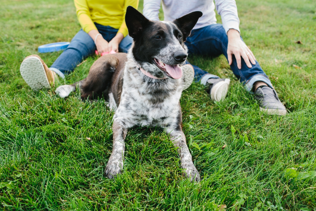 larz anderson park forever session lindsay hite photography