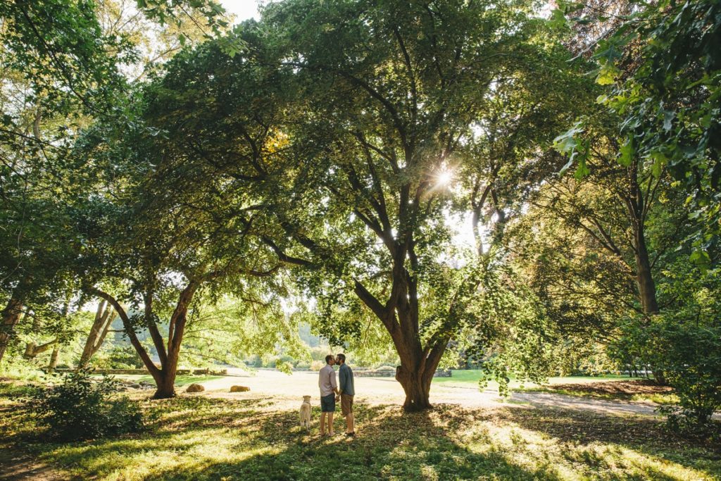 Arnold Arboretum Fur Family Portraits Lindsay Hite Photography