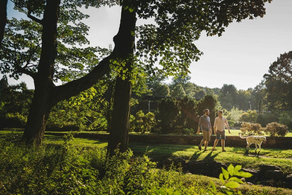 Arnold Arboretum Fur Family Portraits Lindsay Hite Photography