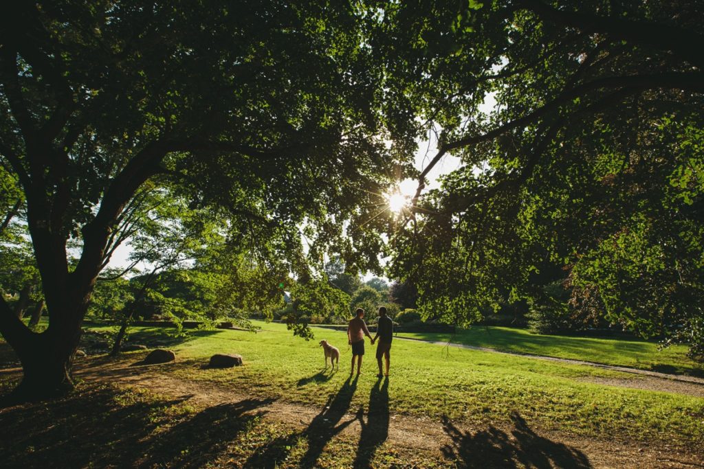 Arnold Arboretum Fur Family Portraits Lindsay Hite Photography